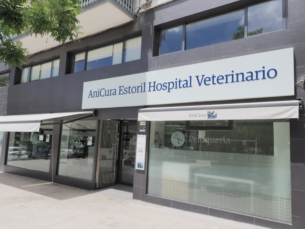 AniCura Estoril Hospital Veterinario | Urgencias 24h