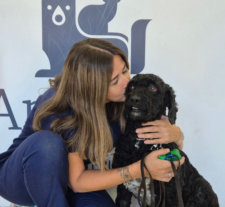 AniCura Bormujos Clinica Veterinaria — Mas recientes