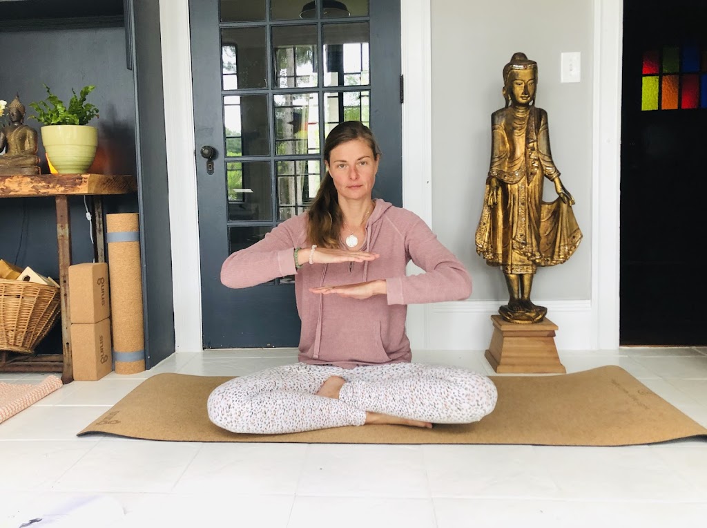  A Pause with Purpose: A New Beginning Unfolds