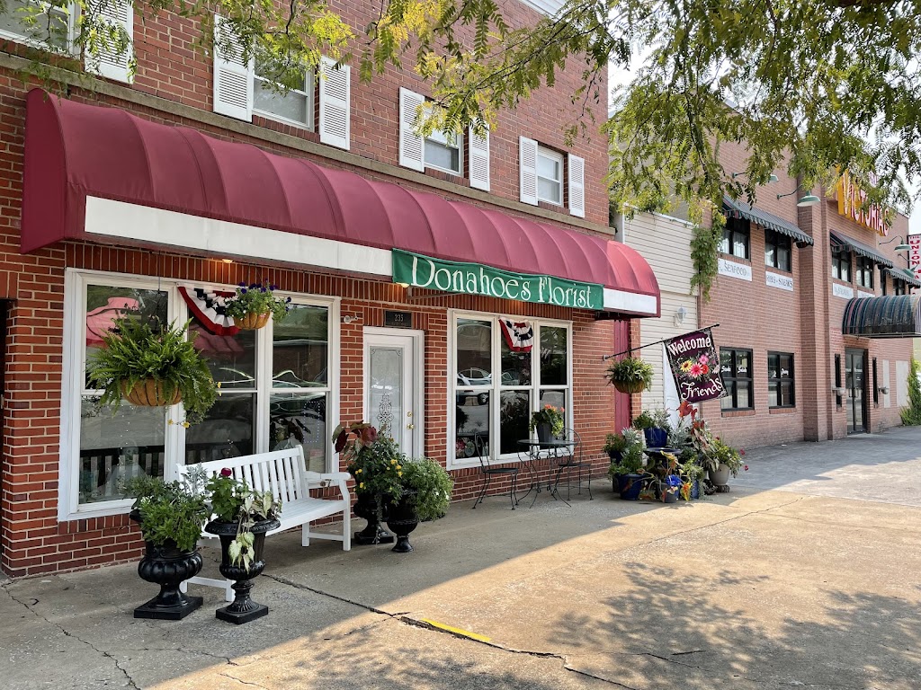 Donahoe's Whimsical Flowers