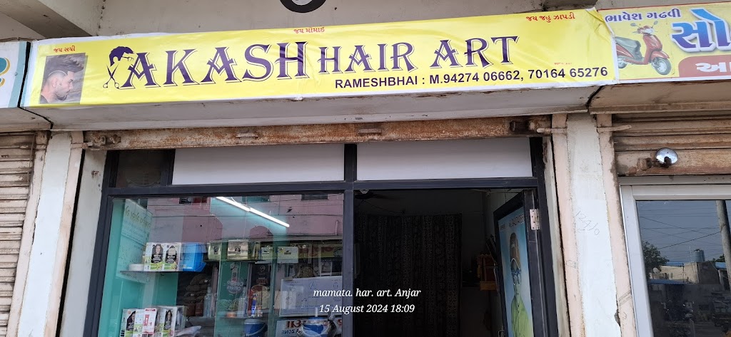 Akash Hair Art