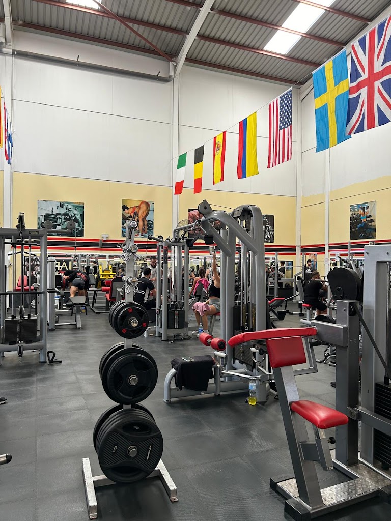 Gimnasio Area fitness- Vecindario