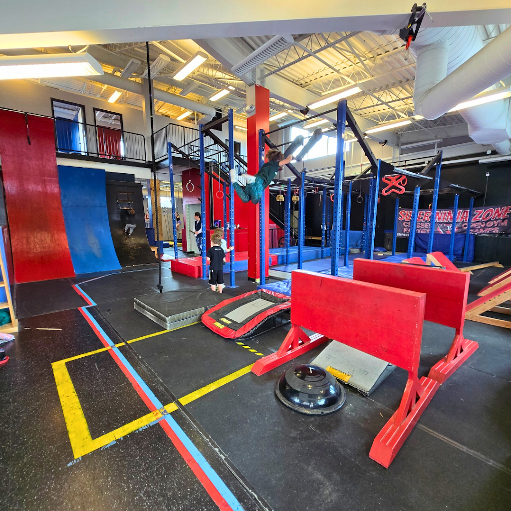  Super Ninja World (formerly Super Ninja Zone)