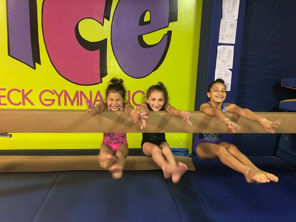  Bounce Gymnastics Inc.