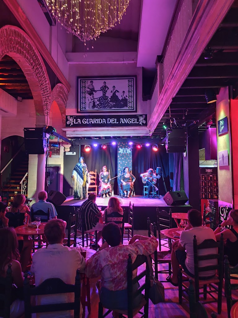 Asociacion cultural La Guarida del Angel, Espectaculos flamencos y musica en vivo