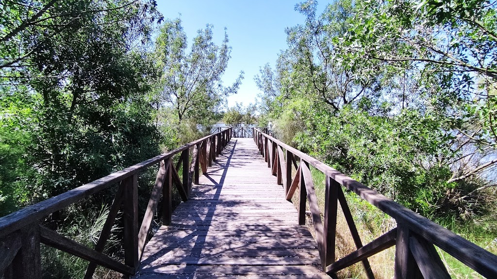 Observatorio Estero Domingo Rubio