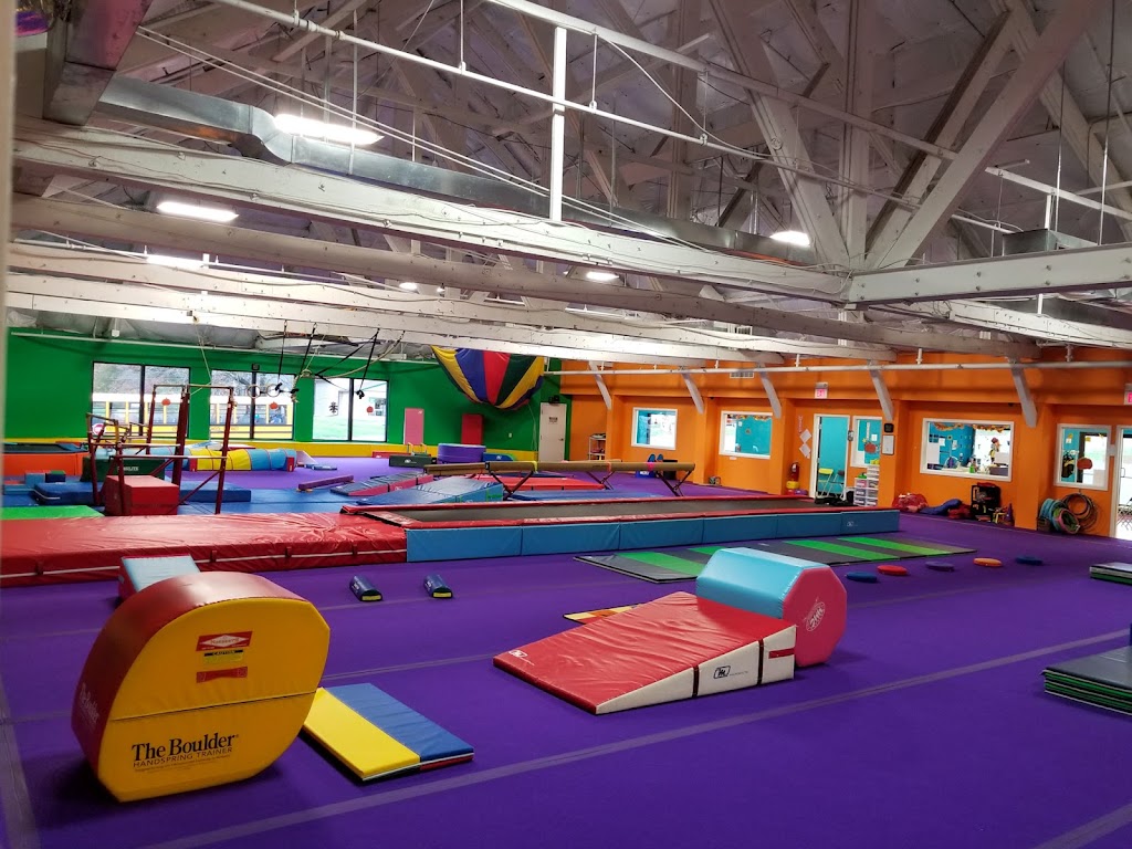  Above the Bar Gymnastics