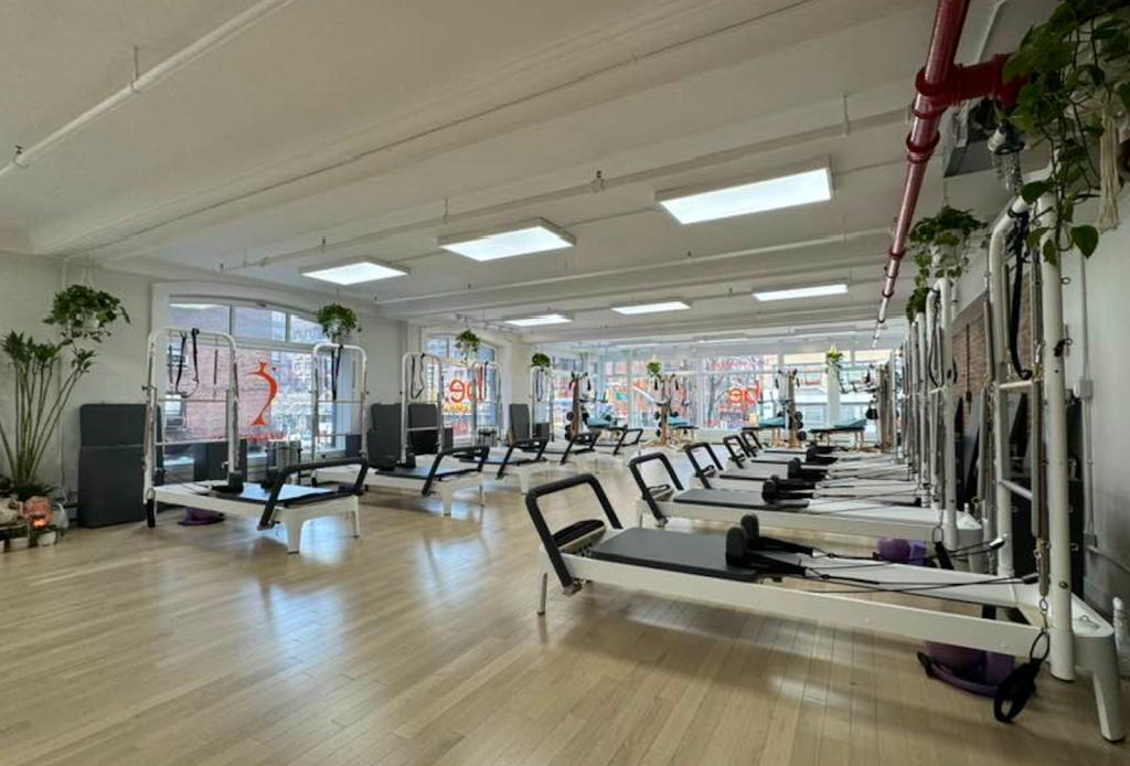  Body Evolutions Chelsea