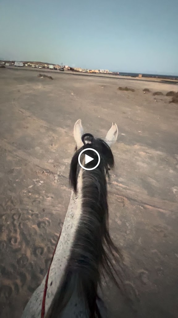 Inicio sendero — Videos