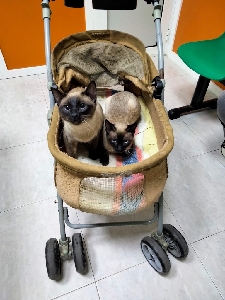 Clinica Veterinaria El Caudal — Del propietario