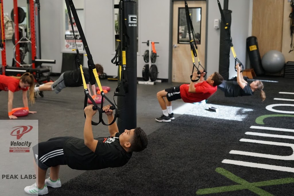  Velocity Sports Performance (Armonk)