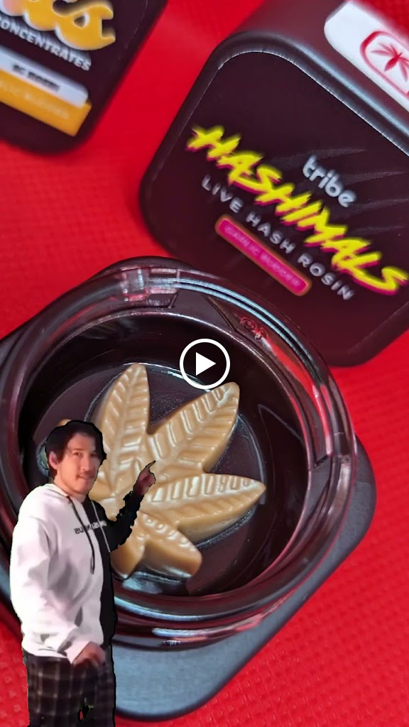 Videos