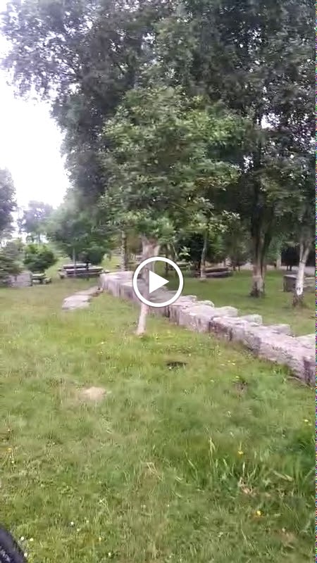 Parrillada San Roque — Videos