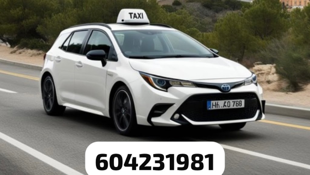 Taxi Palmones Los Barrios