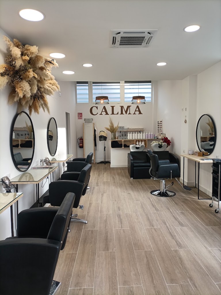 CALMA HAIR SALON DE PELUQUERIA — Interior