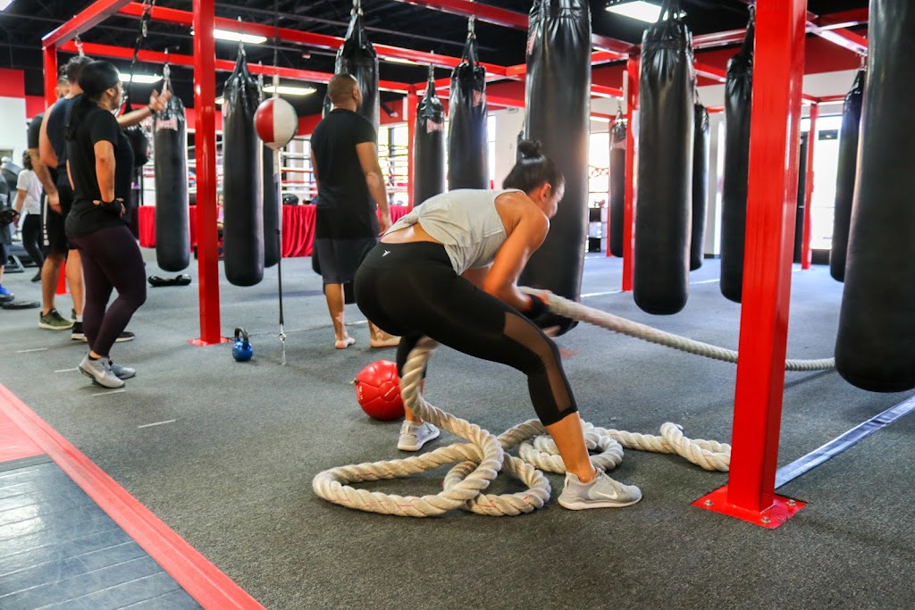  Knockout Fitness- Surprise