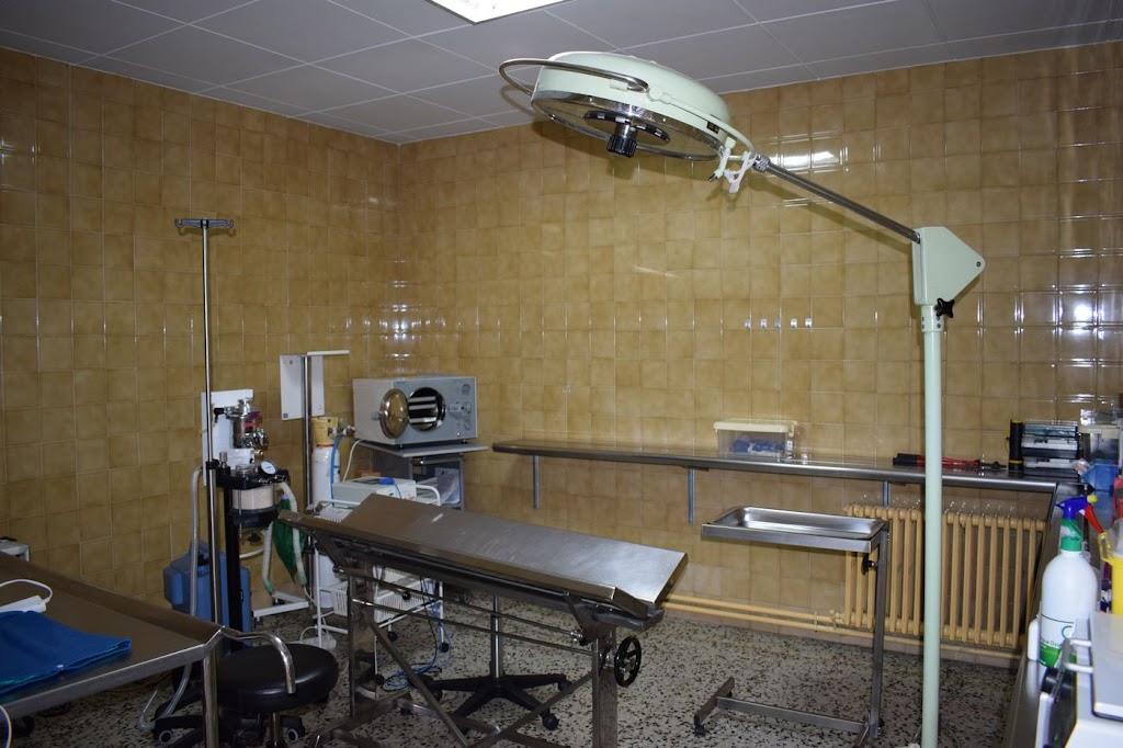 Clinica Veterinaria Eudald Toralles