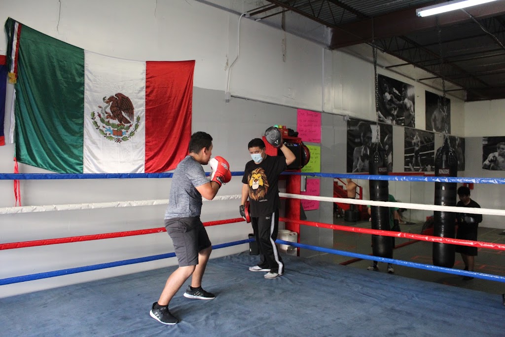  Cruz Boxing Academy