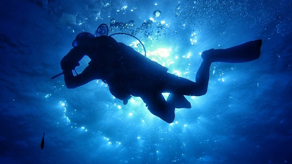 Centro de buceo DELTA Buceo