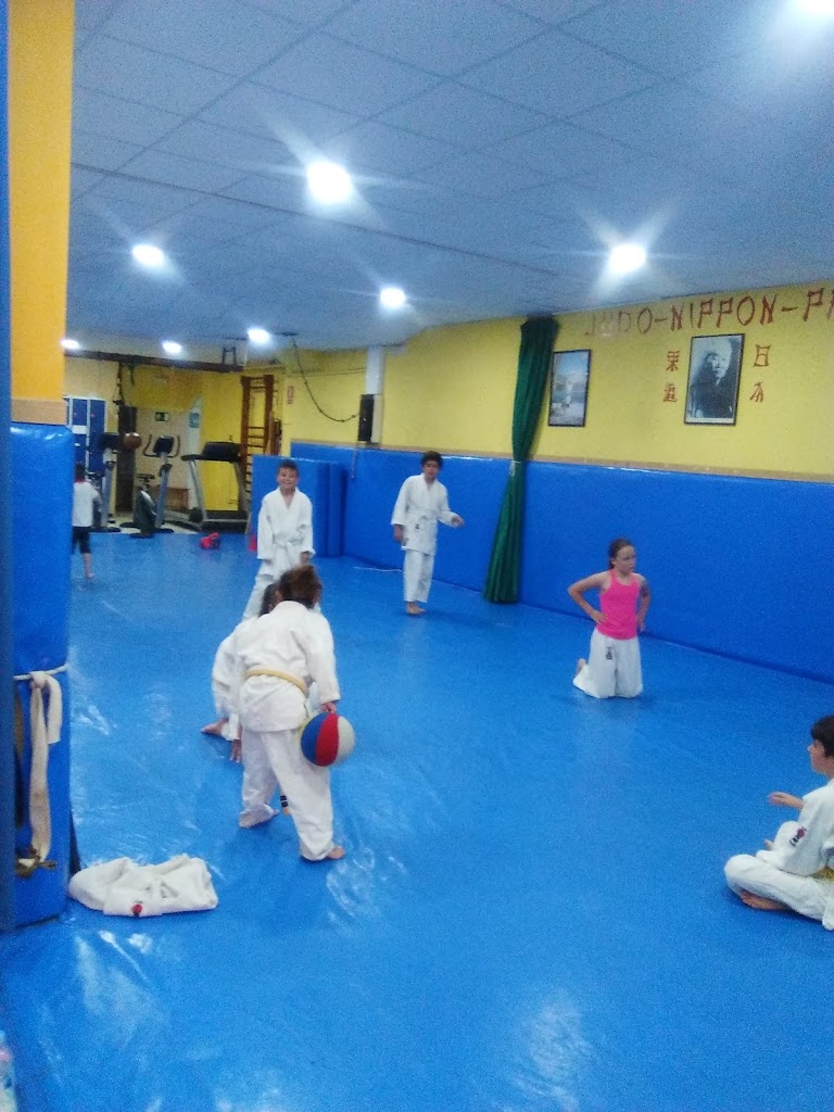 Gimnasio Nippon Prat