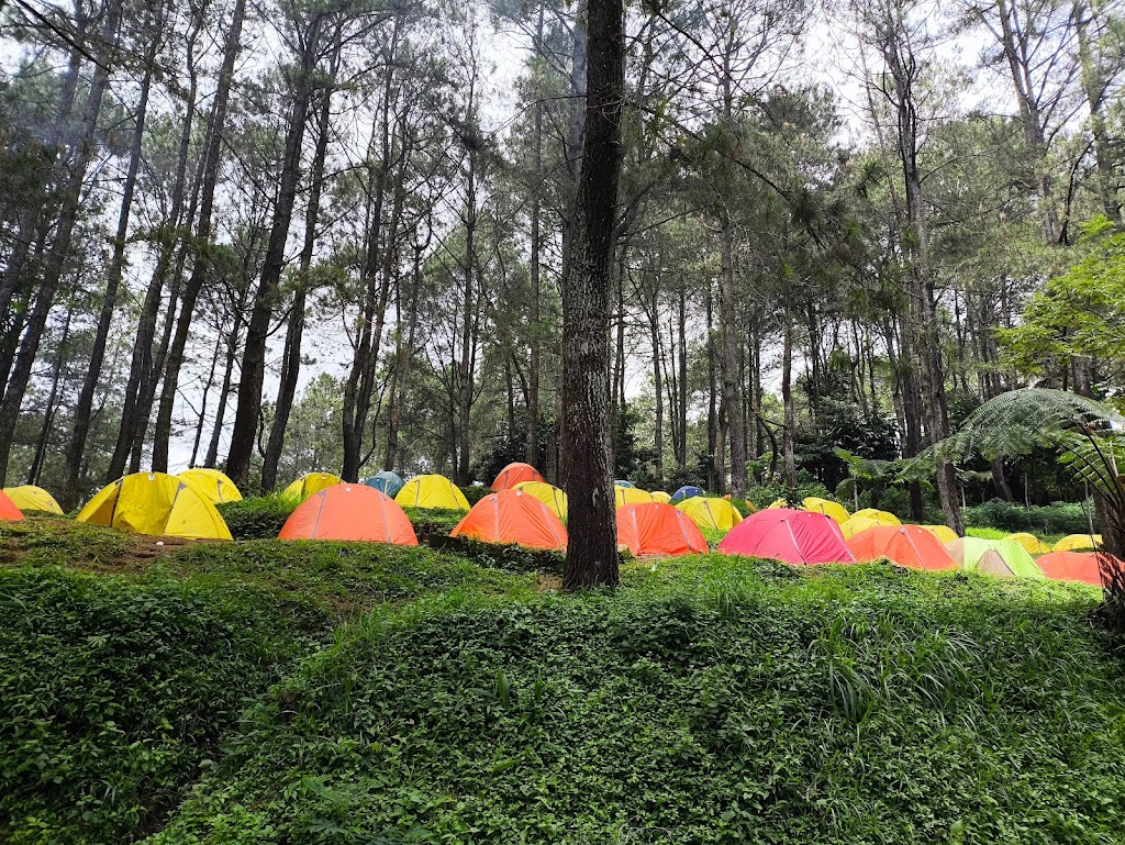 PENYEWAAN ALAT CAMPING "BASECAMP KALDERA"