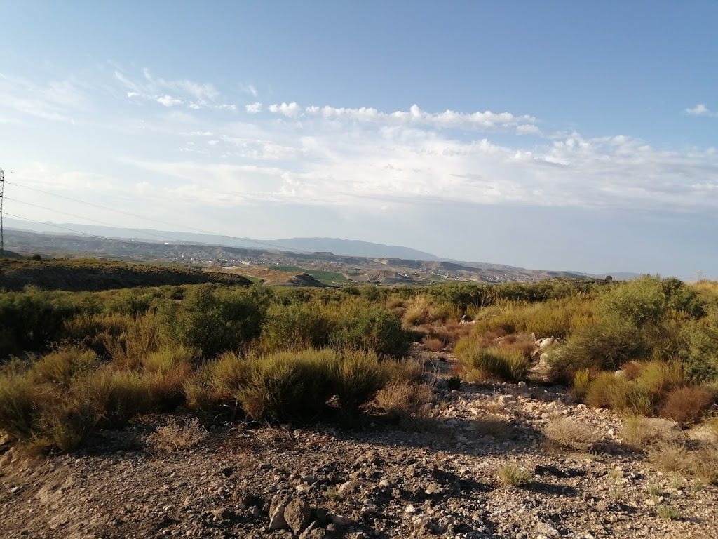Ruta d elos frutales en flor