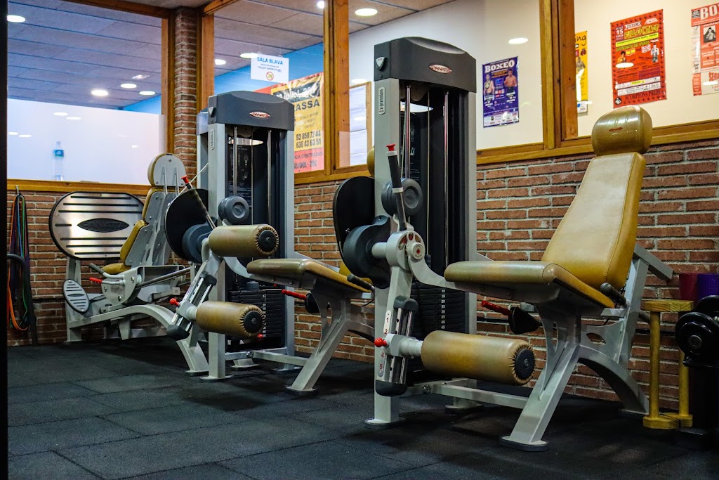 Hook School Club Boxa Manlleu