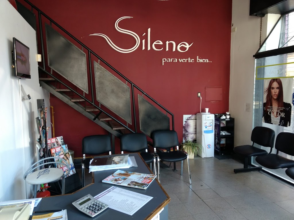 Sileno Peluqueria — Interior