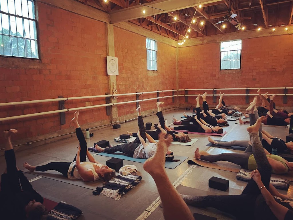  The Wellness Collective