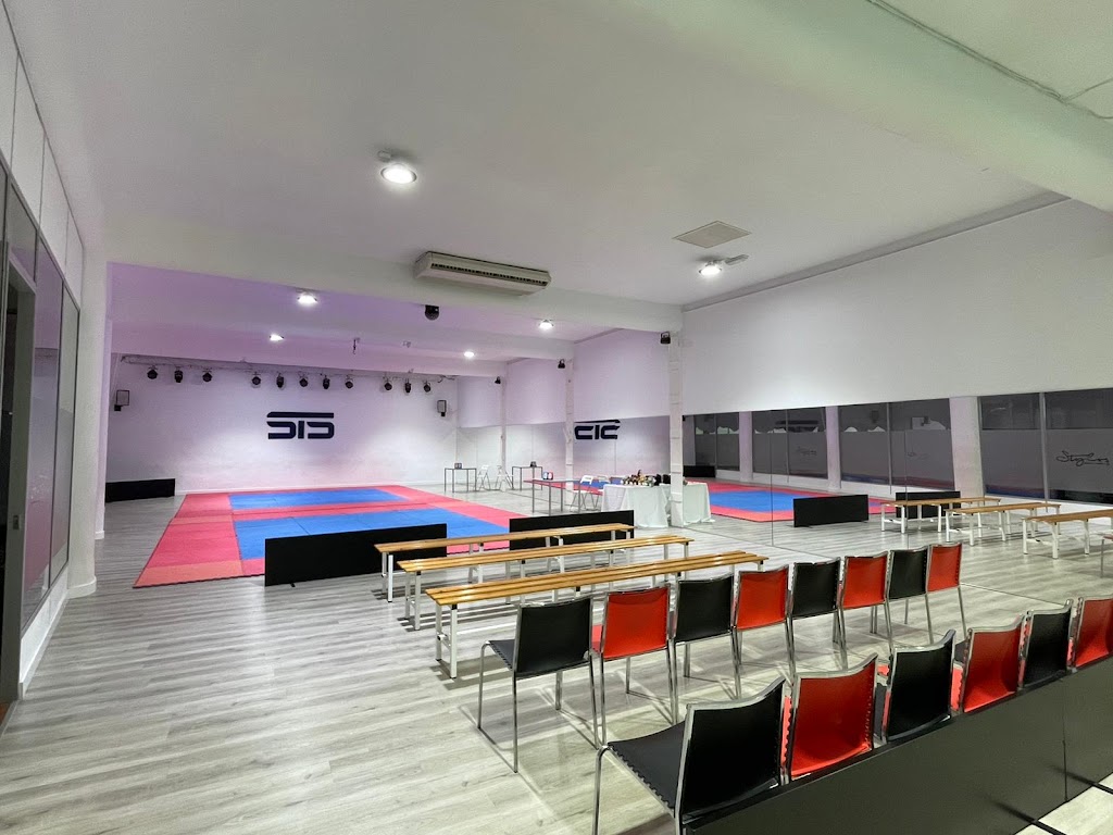 Nin Ruz Ryu Dojo Mislata — Del propietario