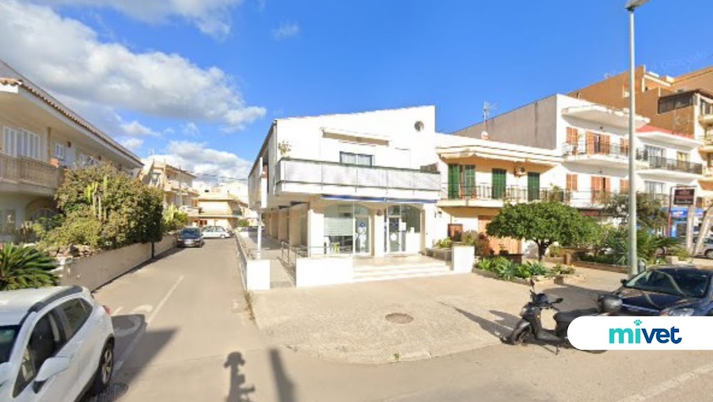 Clinica Veterinaria Alcudia | MiVet