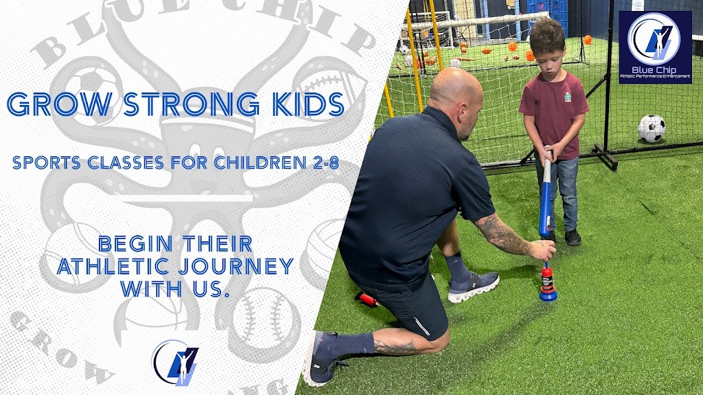  Blue Chip Athletic Performance Enhancement LLC