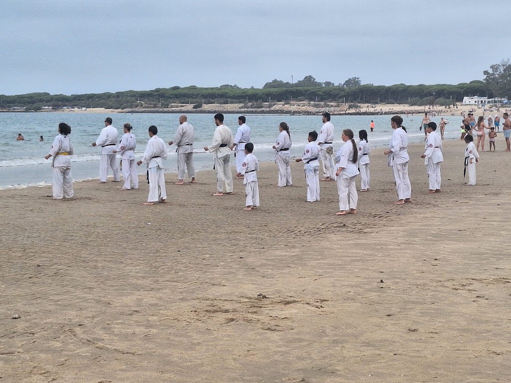 Bushikai Dojo karate Kyokushin — Comunidad
