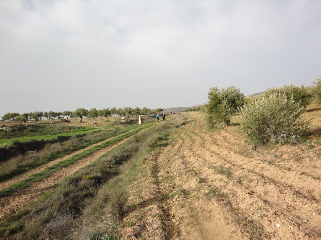 Senda subida a Santa Quiteria