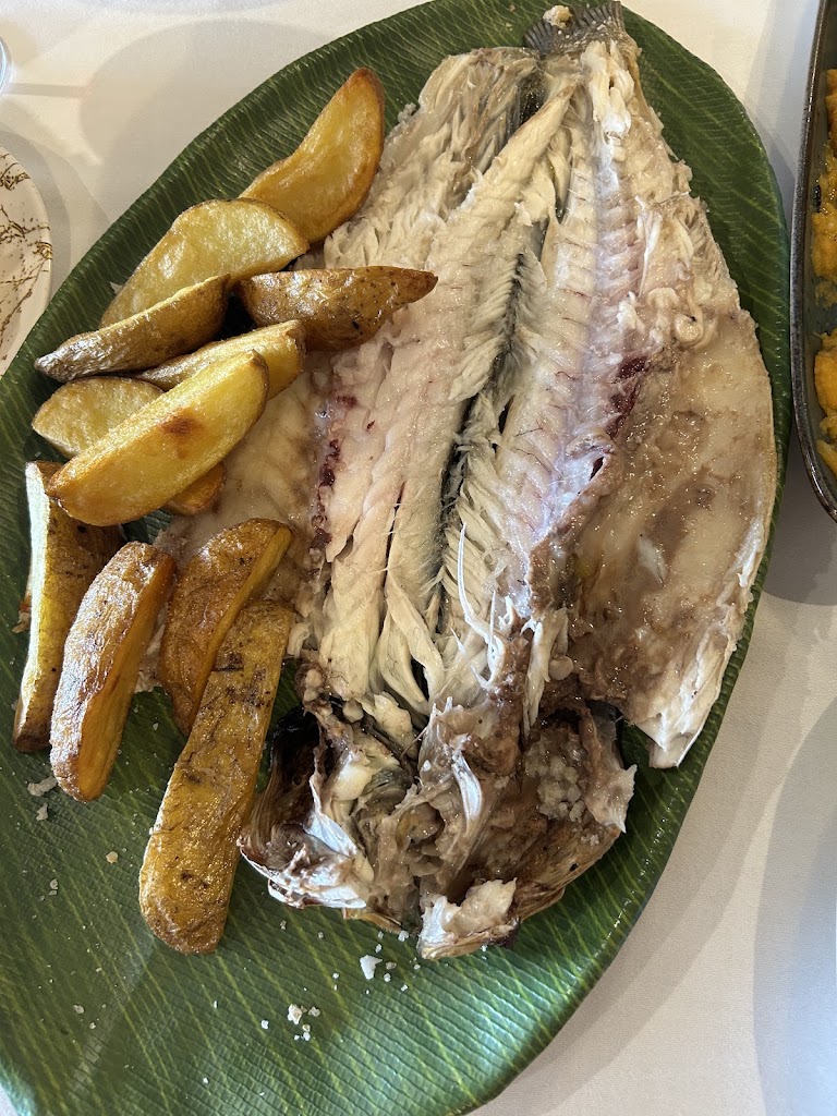 Coco Garden — Mas recientes