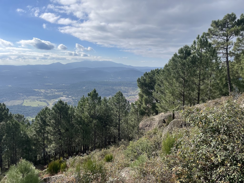 El Canto de La Linde