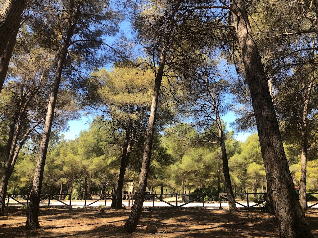 Area recreativa El Pinarillo