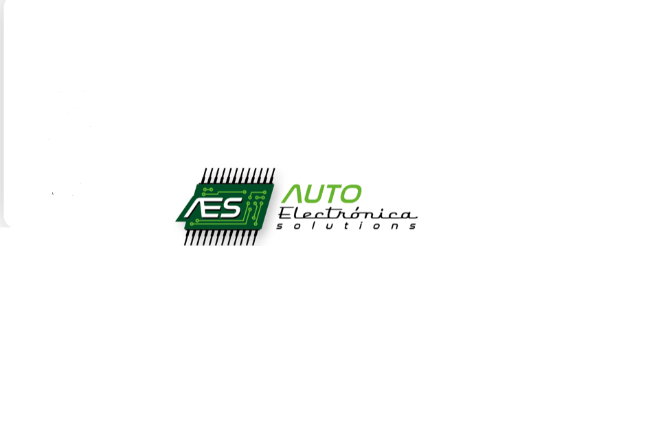 Auto Electronica Solutions — Del propietario