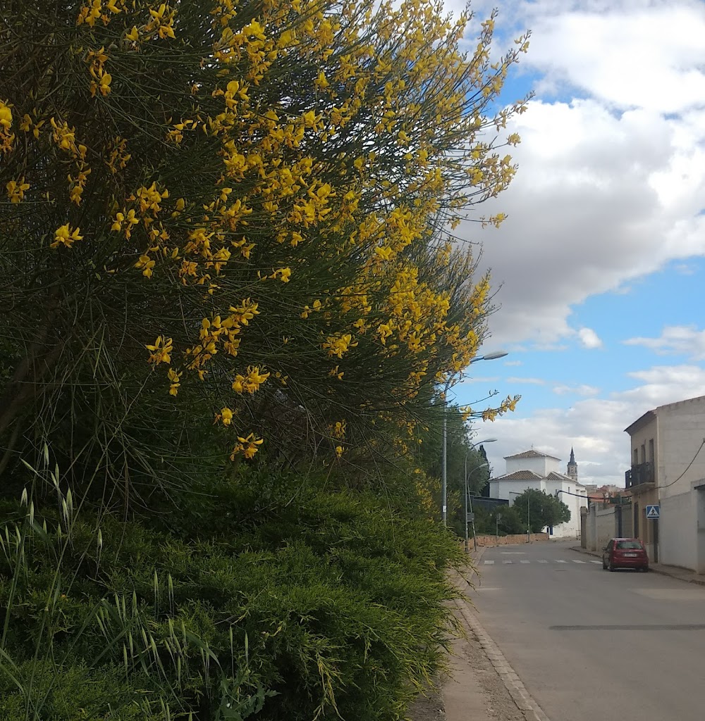 Colegio Publico El Humilladero