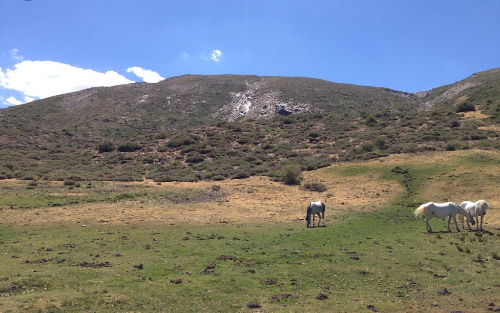 Collado de Prado Llano