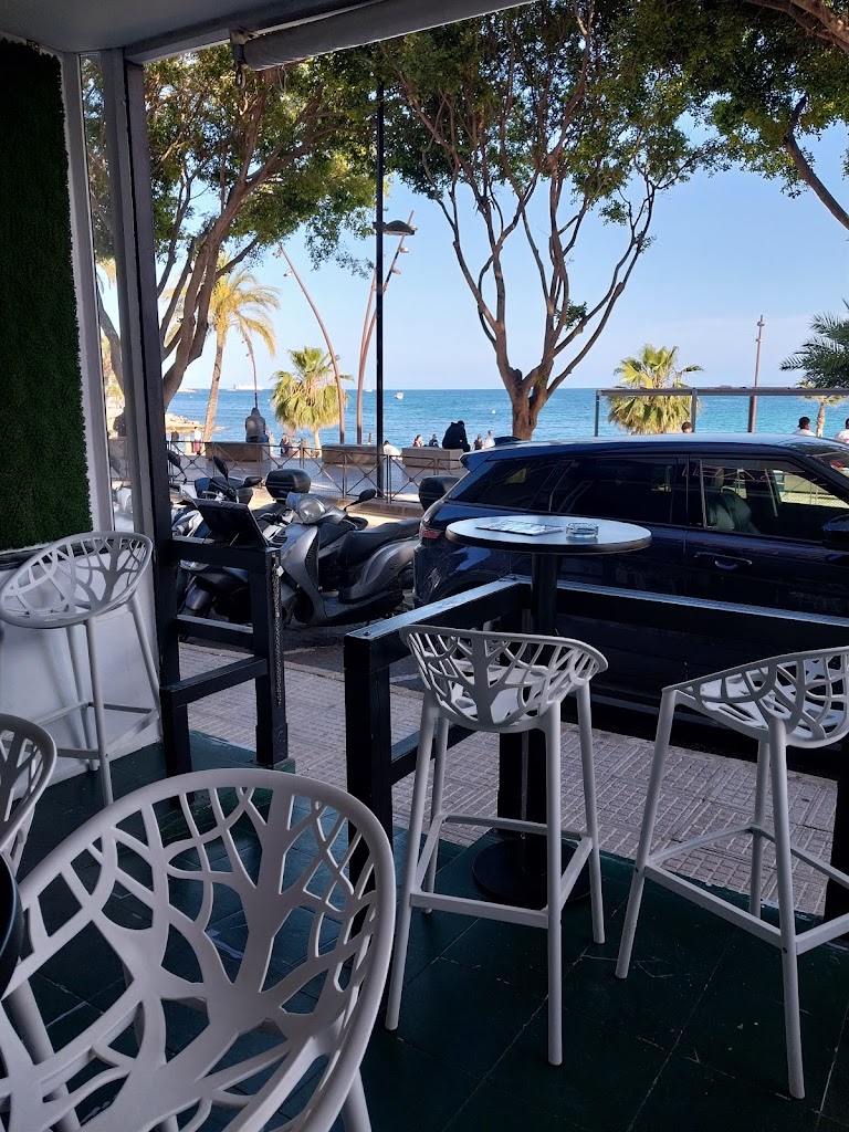 PINA BAR IBIZA — Ambiente