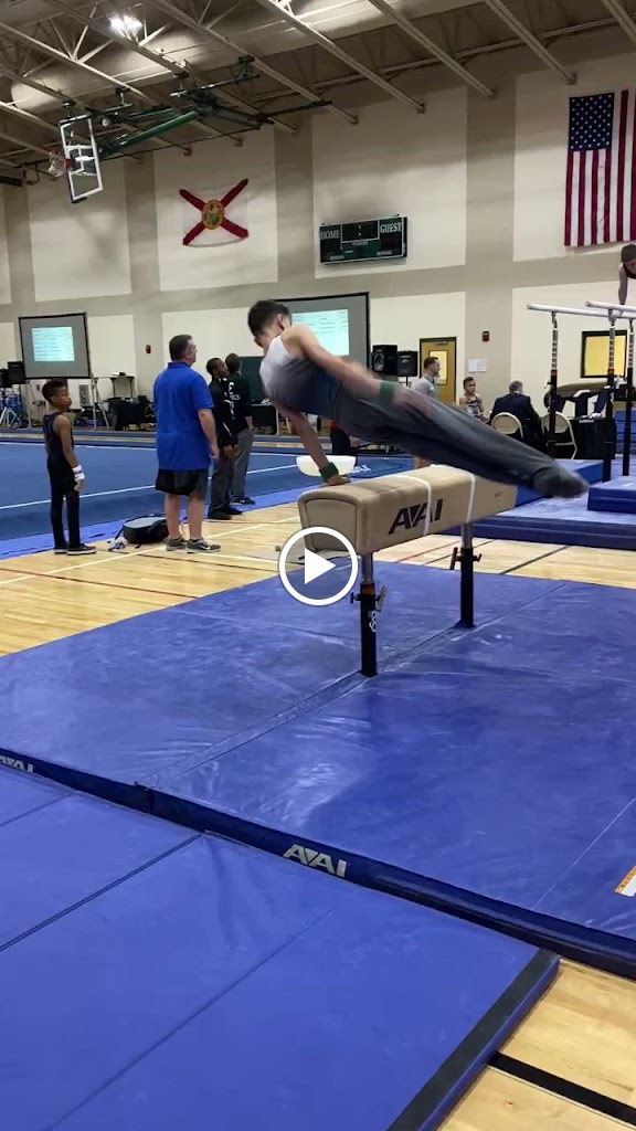  QOTA Gymnastics
