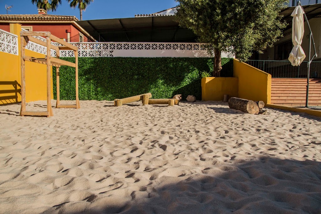 Casa del Mar Montessori Colegio Internacional