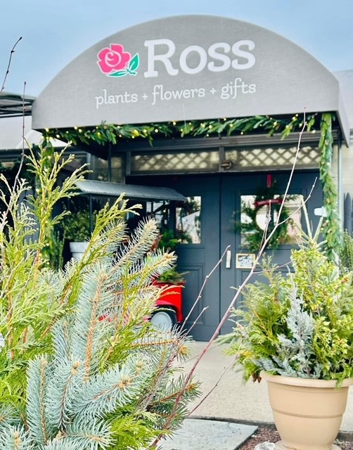 Ross Plants & Flowers