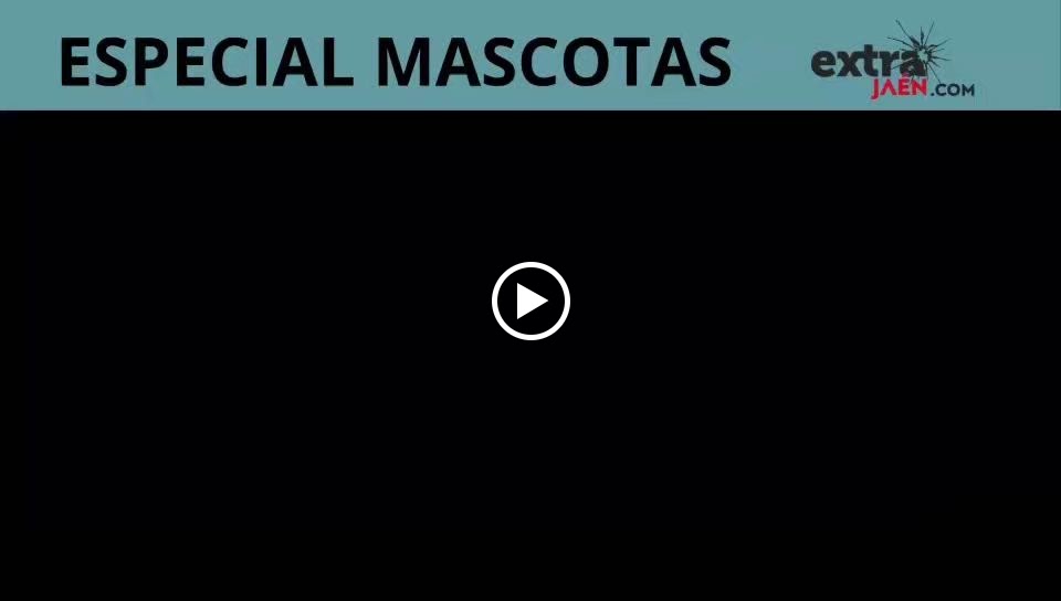 Clinica Veterinaria Corazon de Leon — Videos