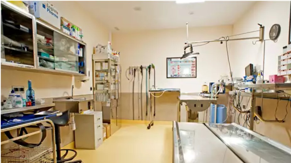 Clinica Veterinaria Utebo — Del propietario
