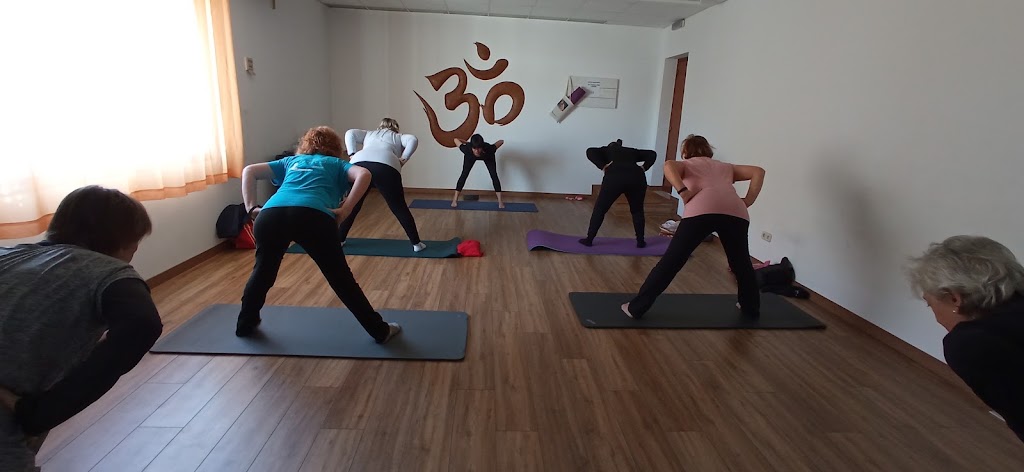 Clases de yoga y pilates en Collado villalba — Del propietario