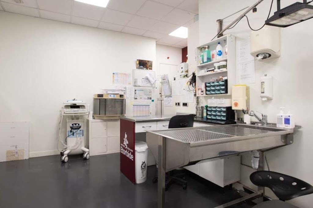 Clinica Veterinaria Etorbide Durango — Del propietario