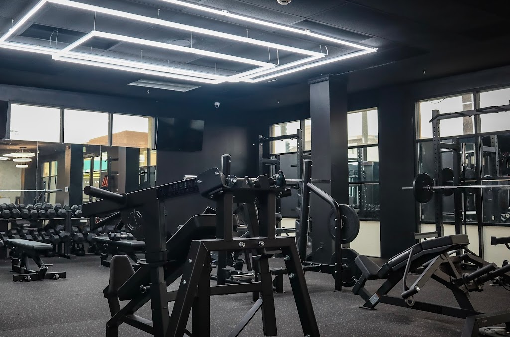  PMF - PRO MOTIVATION FITNESS