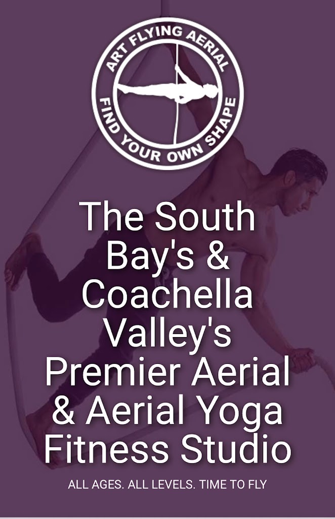  Art Flying Aerial CV